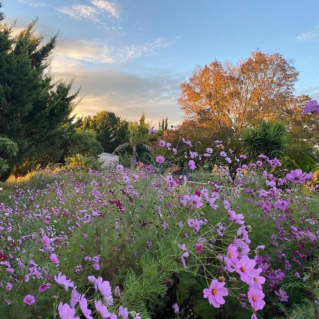 Melbourne Garden Bed And Breakfast Melton Exteriör bild